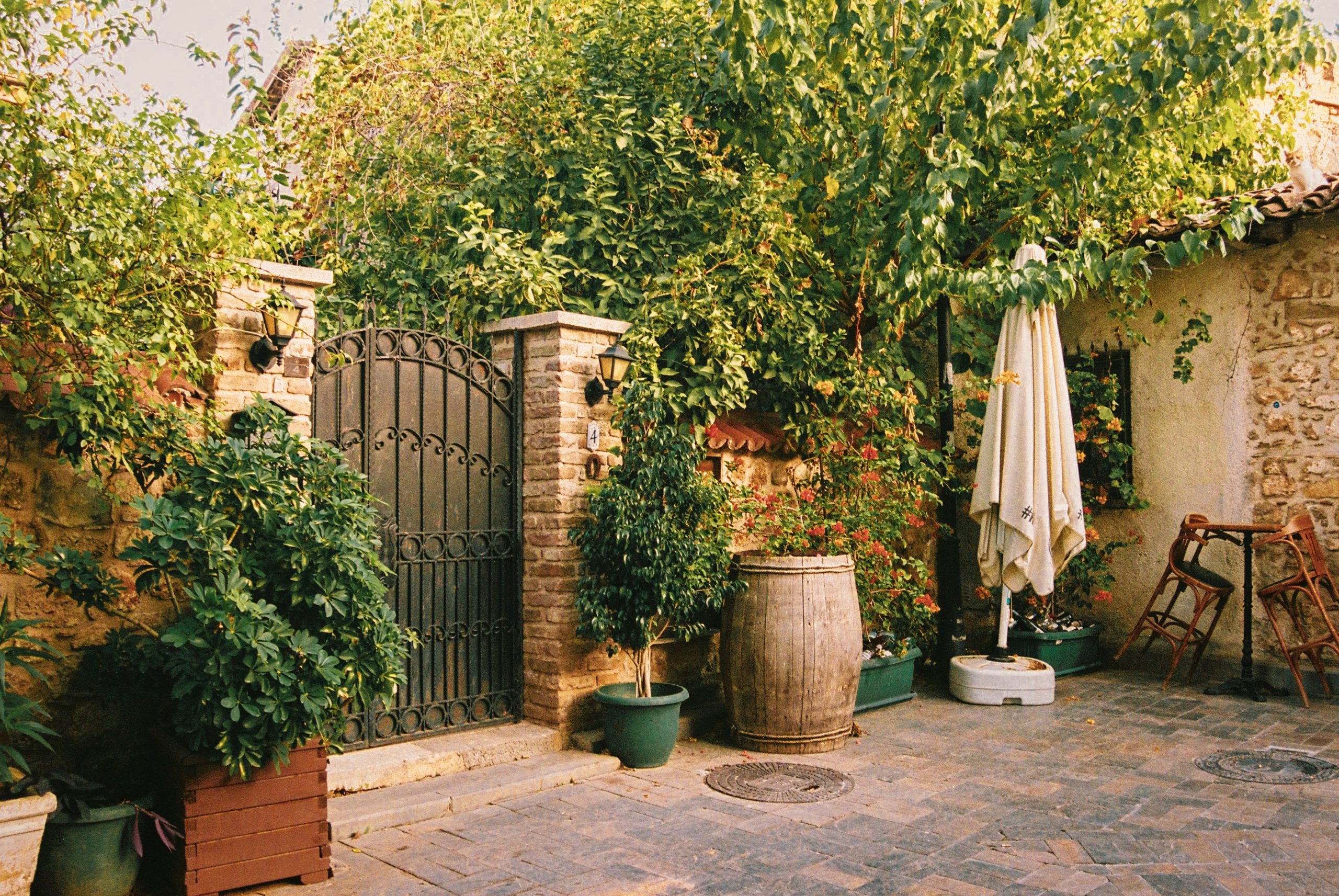 Mulcz dekoracyjny – prosty sposób na zmianę wyglądu ogrodu bez dużych kosztów?